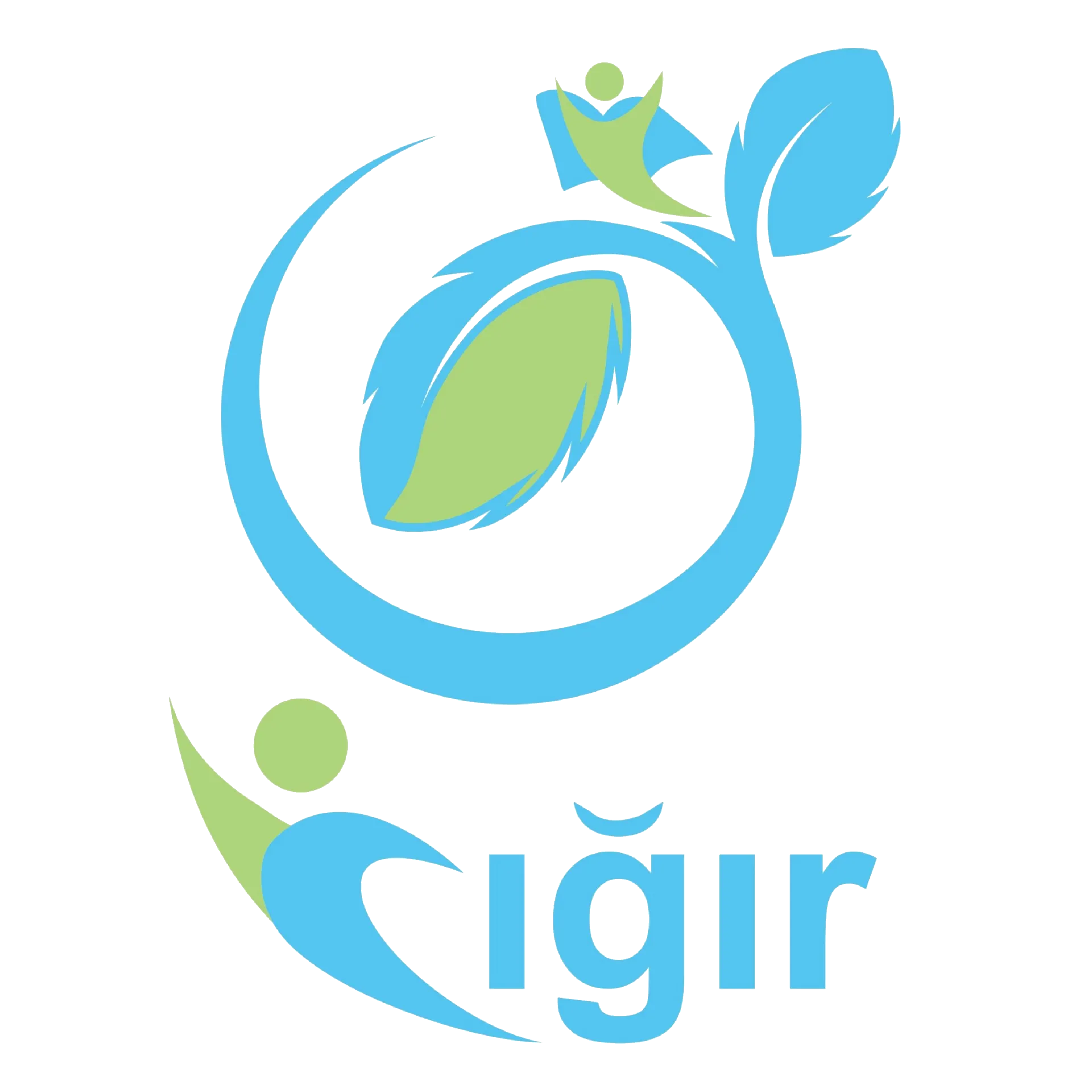 Cığır İctimai Birliyi